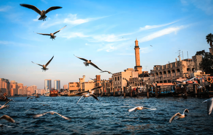 Bur Dubai Dhow Cruise Tour with Rawan