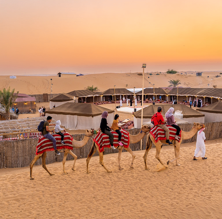 Tour With Rawan - Desert Safari